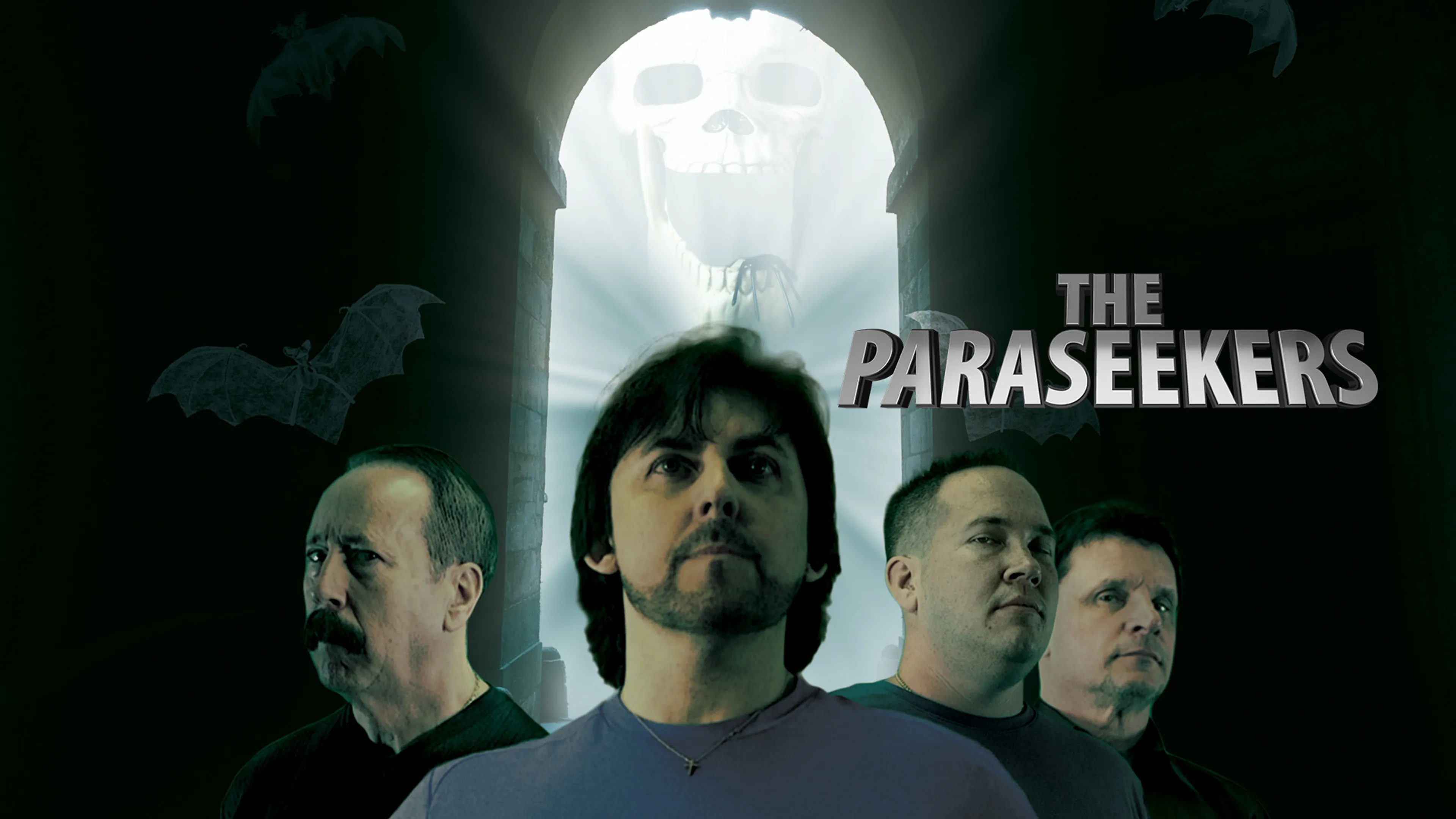 The Paraseekers poster